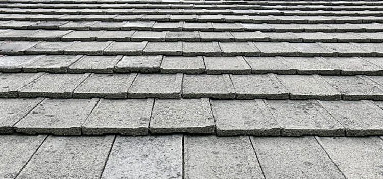Concrete Ridge Tile Roofing Venice