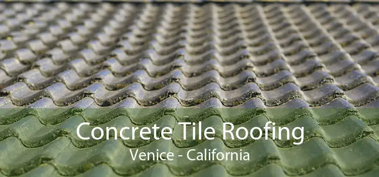 Concrete Tile Roofing Venice - California