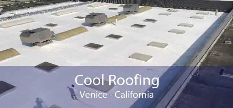 Cool Roofing Venice - California