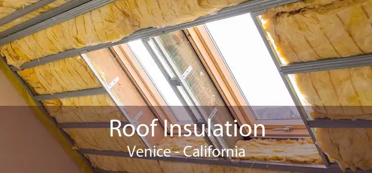 Roof Insulation Venice - California