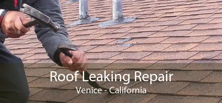 Roof Leaking Repair Venice - California