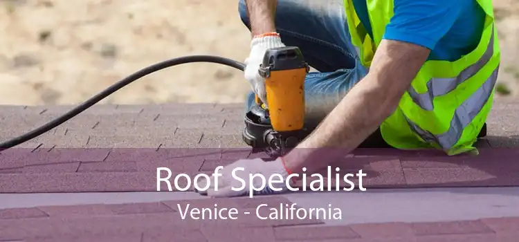 Roof Specialist Venice - California