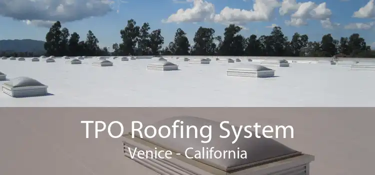TPO Roofing System Venice - California